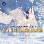 David Plumpton Plays A Winter Wonderland (Front)